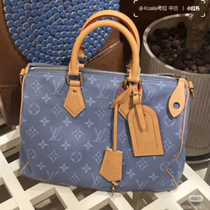 LV Speedy Handbag